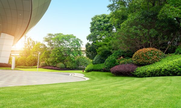 Commercial Shrub Trimming in Palm Bay
