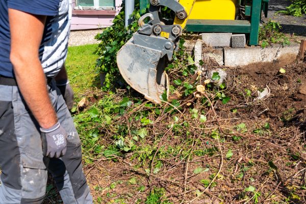 Hedge Removal Service in Palm Bay