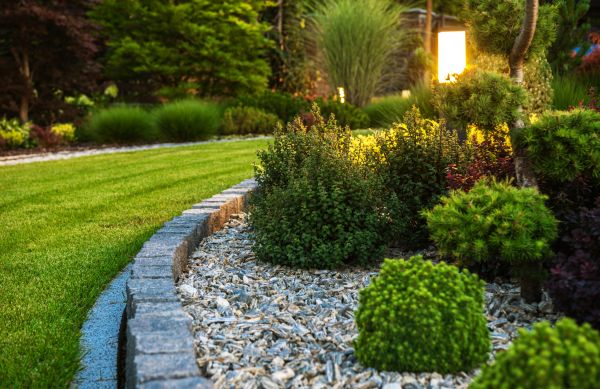 Cost of Bush Relocation in Palm Bay