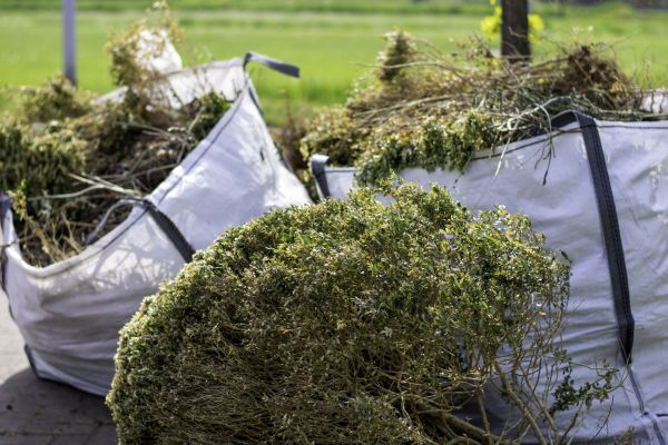 Shrubs Removal in Palm Bay