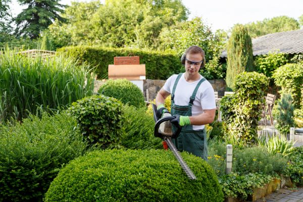 Shrubs Trimming in Palm Bay