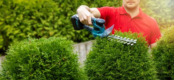 Cost of Hedge Shaping Service in Palm Bay