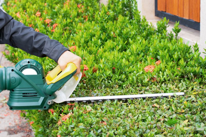 Shrub Maintenance Tools