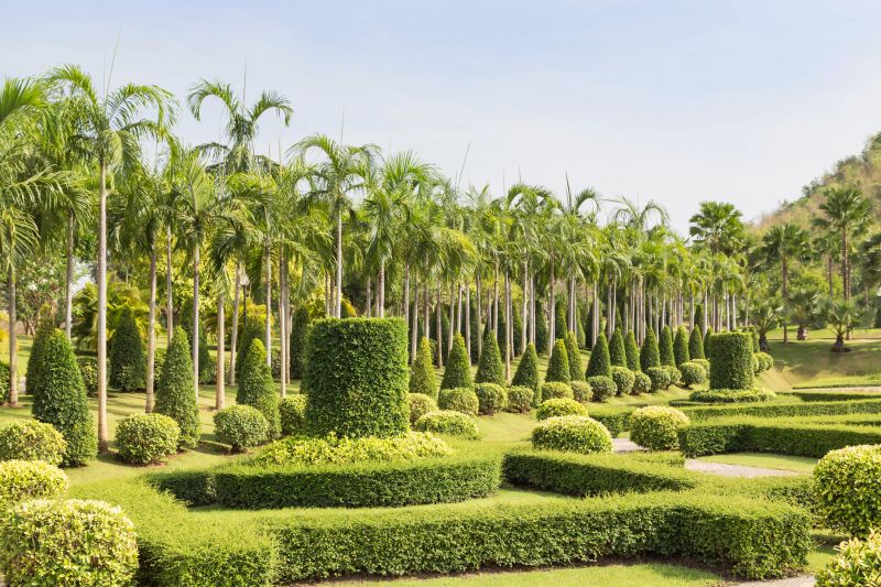 Artfully Shaped Shrubs
