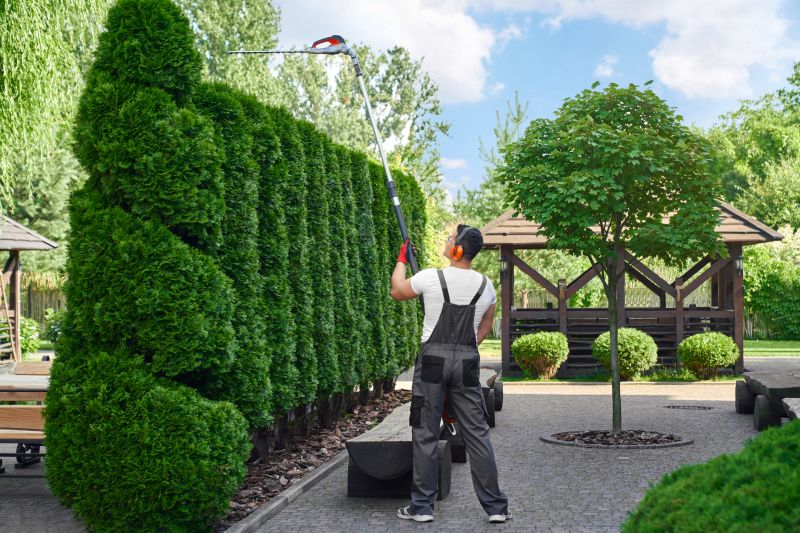 Professional Landscaping Companies